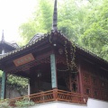 IMG_6612.JPG